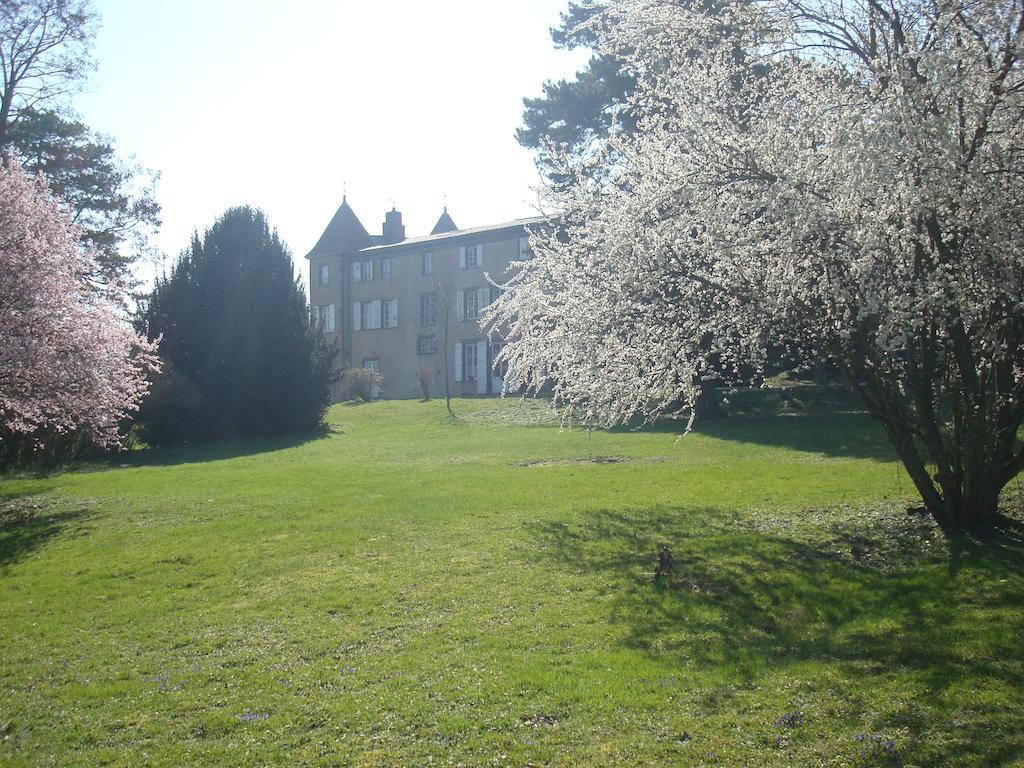 Chateau De Bourrassol Bed & Breakfast Menetrol Exterior photo